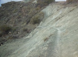 DSCN2856
