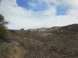 DSCN2858