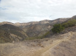 DSCN2860