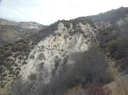 DSCN2863