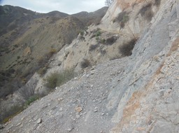 DSCN2865