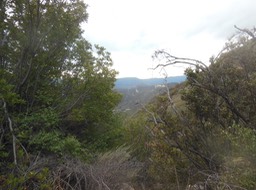 DSCN2875