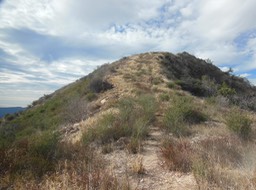 DSCN2893