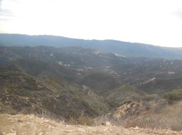 DSCN2902