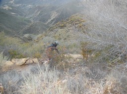 DSCN2907