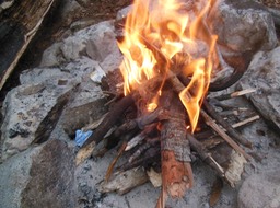 DSCN2978