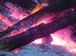 DSCN2980