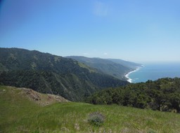DSCN3000