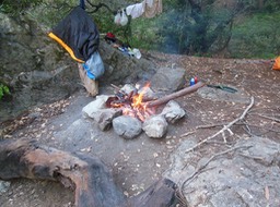 DSCN3005