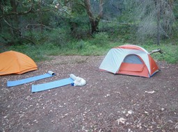 DSCN3006