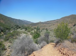 DSCN3010