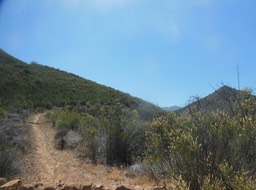 DSCN3011