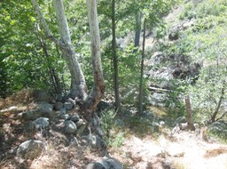 DSCN3013