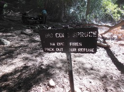 DSCN3047