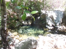 DSCN3051