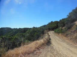 DSCN3056