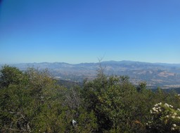 DSCN3059