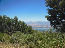 DSCN3075