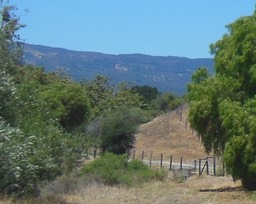 DSCN3086