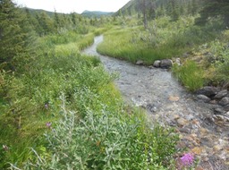 DSCN3449