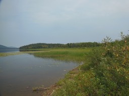 DSCN3470