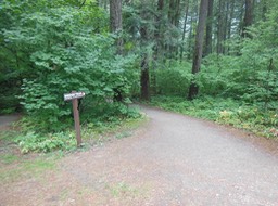 DSCN3483