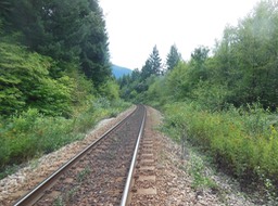 DSCN3486