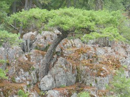 DSCN3508