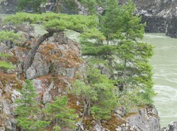DSCN3509