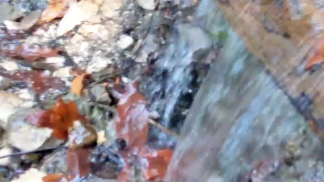 firat-water
