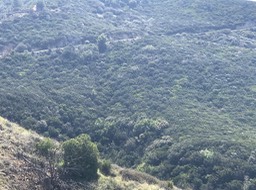 Gibraltar_32
