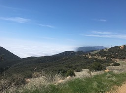 Gibraltar_36