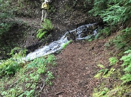 IMG_0152