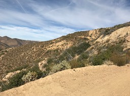 IMG_0170