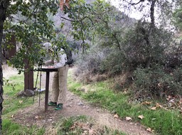 IMG_0439