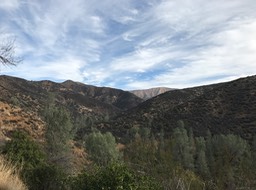 IMG_0450