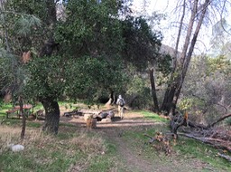 IMG_0452
