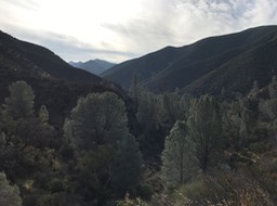 IMG_0454