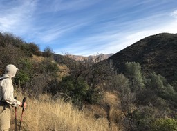 IMG_0456