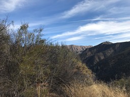 IMG_0462