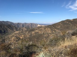 IMG_0464