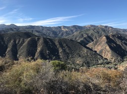 IMG_0465