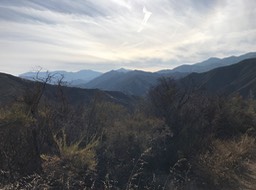 IMG_0466