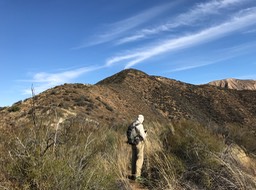 IMG_0469