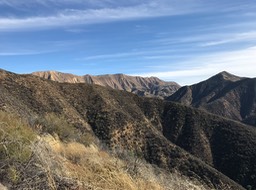 IMG_0470