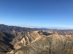 IMG_0483