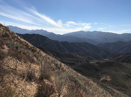 IMG_0487