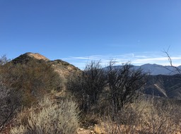 IMG_0501