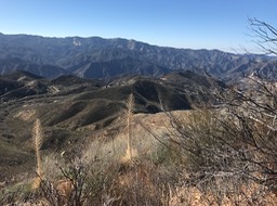 IMG_0514