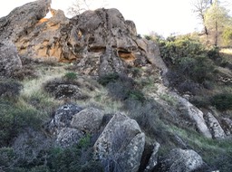 IMG_0534
